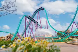 游知道｜感受梦幻春季 妇女节特惠来袭图片