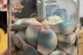 腊八蒜腌出“彩虹色”，吃了会不会中毒？｜封面科考队图片