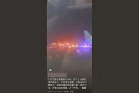飞机引擎像火箭一样冒火光！乘客：吓得半死！一航班紧急返航，多方回应图片
