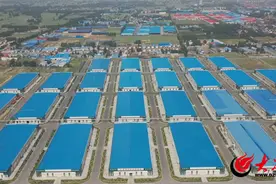 书记镇长带你看菏泽｜曹县庄寨镇：林木产业剑指千亿图片