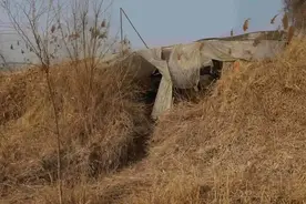 邯郸3未成年嫌犯被核准追诉，依法惩处“小恶魔”|新京报快评图片
