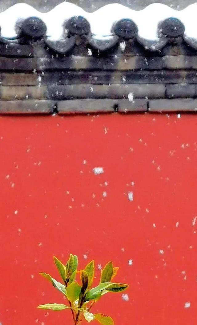 全网都在等的沈阳故宫雪景，来了→