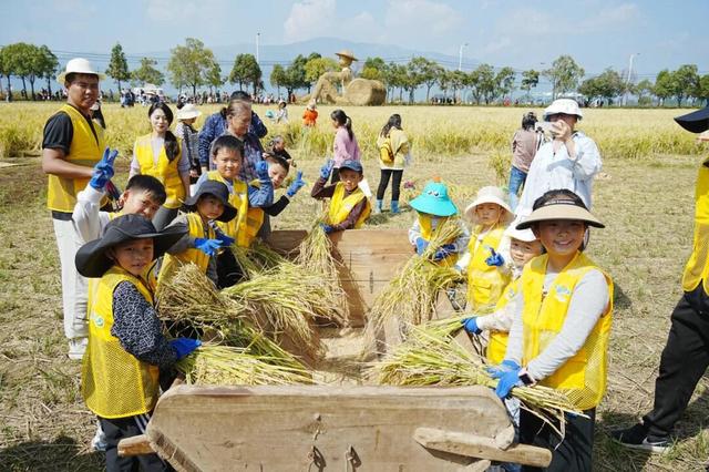 昆明8条2025乡村旅游精品线路出炉，附详细游玩攻略