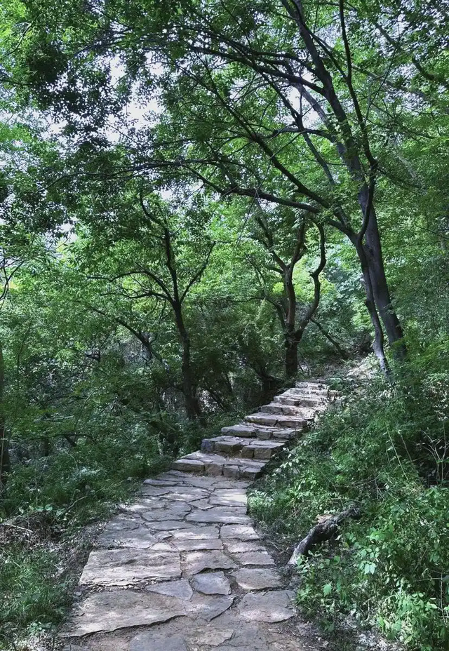 郑州周末小众遛娃地图来了