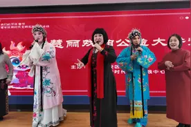 许昌市建安区：过年“好戏”多图片