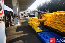 海南铁路货运实现2024年春季开门红图片