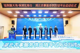链荆楚大地 保湖北粮仓 湖北农事服务供应链平台成立图片