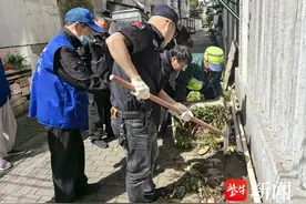 清理遗留“小花园”，速办速结筑和谐图片