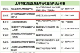 崇明区陆生野生动物收容救护点在这里→图片