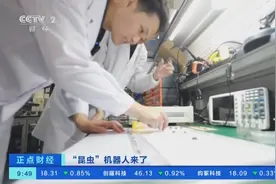 身长2厘米、外形似昆虫！我国科研团队研发仿生机器人图片