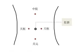 【鹊说中医】“四象揉腹”8分钟，助你破解“便秘”之困图片