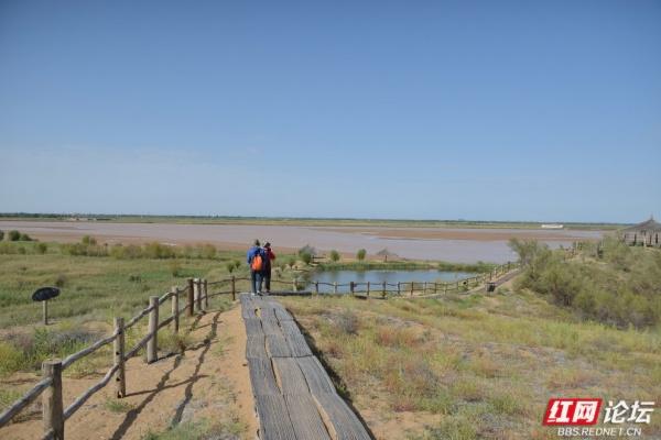 岁暖时刻丨我与黄河的几次遇见