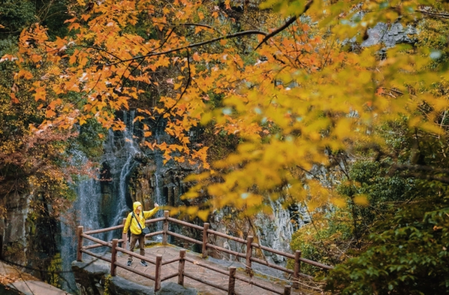 登山+叙友！本周日，即将盛大启幕！