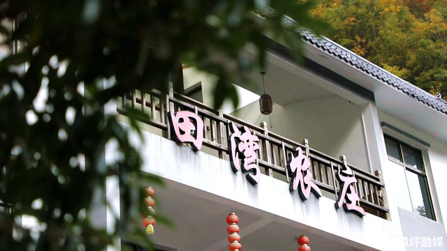 陕西镇坪县：红叶铺展生态长卷 深山小城焕发文旅活力