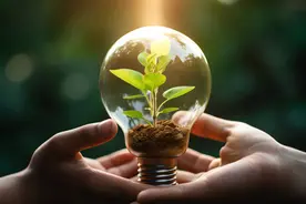 总书记为何关注上海江苏浙江交界处？图片