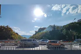 【开屏早知道】昆明街头这种果子能吃吗？专家提醒→图片