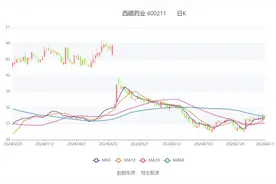 西藏药业：2024年上半年净利润同比增长4.57% 拟10派9.67元图片