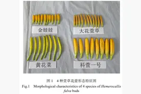 正大量上市，但可能让人中毒！医生提醒：无特效解药图片