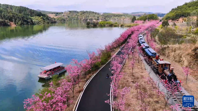 网络中国节·清明丨清明出游不扎堆！云南这些人少景美的宝藏小城别错过