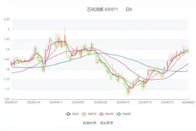 石化油服：2024年上半年净利润4.52亿元 同比增长38.63%图片