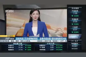 合纵科技2万收购的背后：业绩负担加重 股东身陷股权纠纷视频封面
