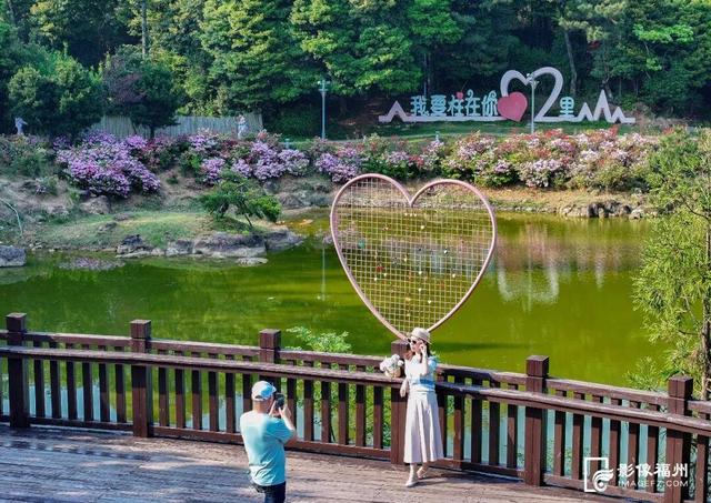 姹紫嫣红！福州进入春日高颜值时刻！