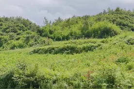 岑巩县平庄镇：坚守耕地红线 节约集约用地图片