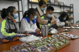 江苏镇江：托养服务助力残疾人融入社会图片