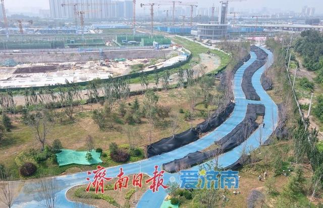 彩色步道串联活力与自然，济南丁太鲁绿带公园一期建设亮点纷呈