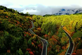 读懂城市｜我心安处是雅安图片