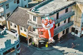 观澜古墟文化节有两位“颜值担当” “古墟麟宝”憨萌出圈图片