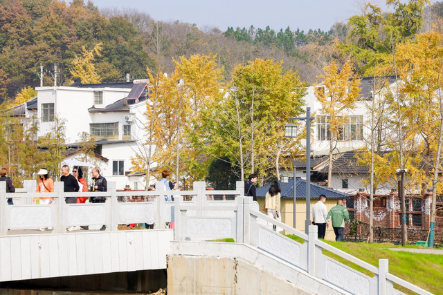 随州：一祖寻根脉 一钟鸣古今 一叶醉时光