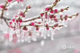 冰冻预警如何分级？有什么标准？专家解答→图片