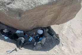 南京科学家发现陆地“避难所”图片