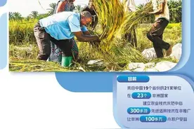 中非农业合作重在“授人以渔”图片