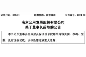 南京公用发展股份有限公司董事长李祥辞职图片