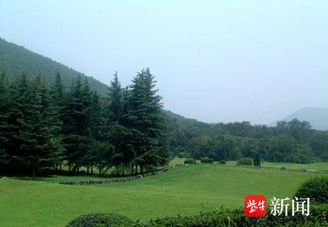 【图集】大美江苏！穿越森林秘境，漫步郊野公园，沉浸式感受"绿色动脉"