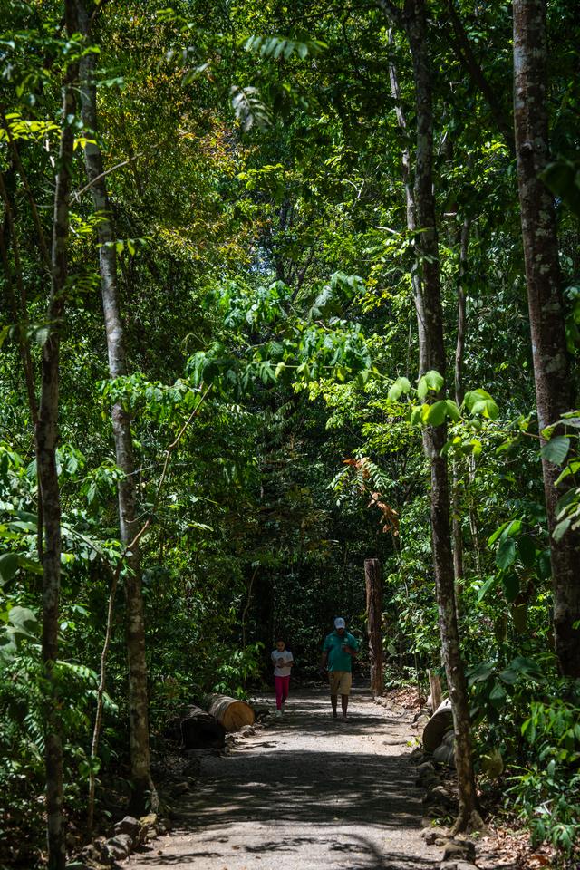 巴西马卡帕：赤道之城的生态与人文风貌
