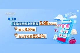 智能电商开启新阶段 企业研发投入超480亿元图片