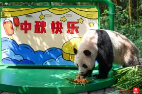 花好月圆度中秋！近千场中秋主题文旅活动即将在广州揭幕图片