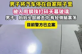 安徽一男子将汽车停在自家院子里，被人用钢珠打碎天幕玻璃，妈妈头部被击中，目前警方已立案图片