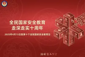 第十个全民国家安全教育日｜海报图片