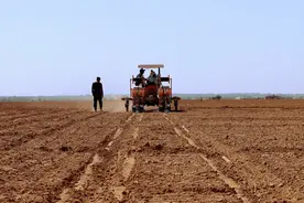 陕西定边：160万亩玉米进入播种期图片