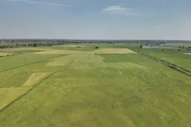 江西南昌县塘南镇：让“吨粮田”填满百姓粮袋子图片