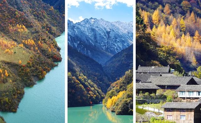 青睐绵阳 ‖ 红透了！周末去平武，沿着“百里彩林走廊”看一场雪山彩林“大片”~