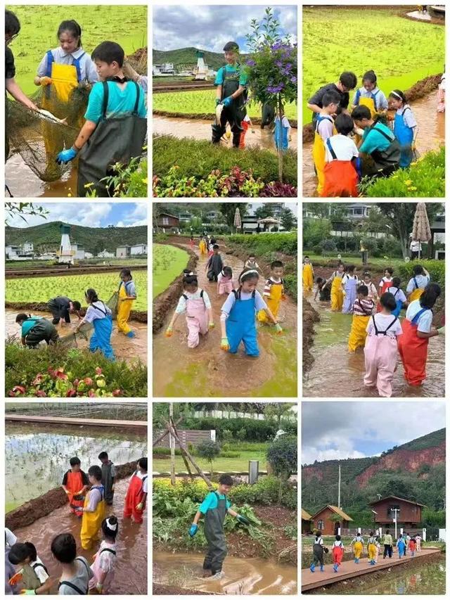 红河州暑期文旅盛宴点燃盛夏激情，尽显多元魅力