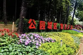 龙年走“花路”！来看天河版“繁花”靓爆镜图片