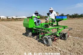 贵州省农业科学院旱粮所开展小麦试验、示范播种图片