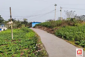 高新区板仓街道：“泥巴路”变身“舒心路” 210名村民告别出行难图片