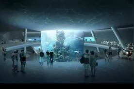 深圳最大的海洋主题公园开票了！图片